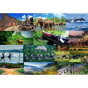 Sri Lankan tour package